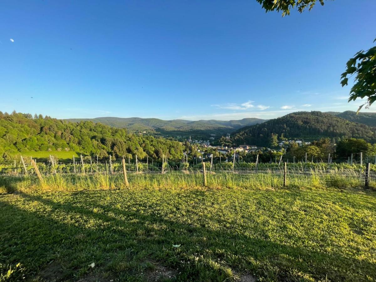 Apartment Eckberg Near Centre & Nature Baden-Baden